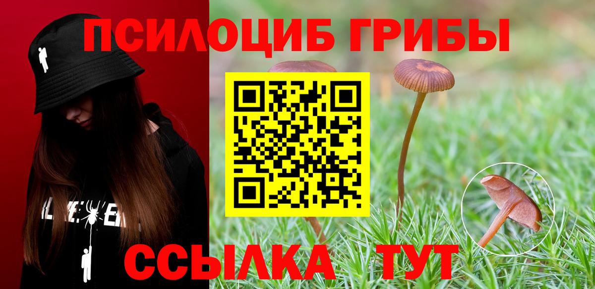 Псилоцибиновые грибы Psilocybine cubensis Дзержинский