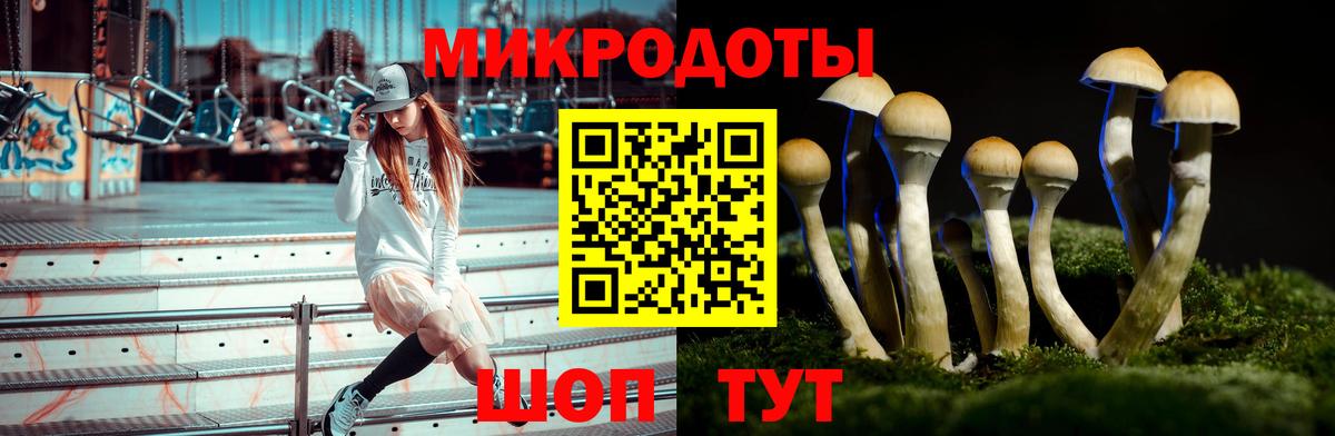 Дзержинский  Галлюциногенные грибы Psilocybe  Вход с VPN 